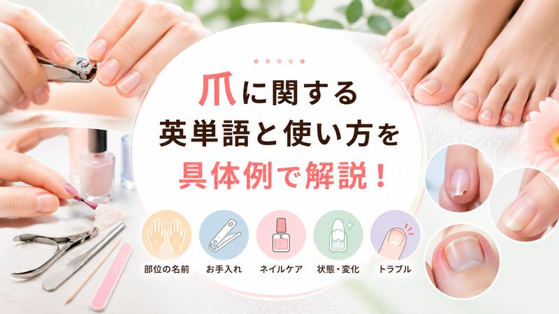 2.爪に関する英単語と使い方の具体例